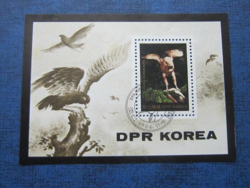 блок Корея КНДР 1984 фауна птицы орёл гаш
