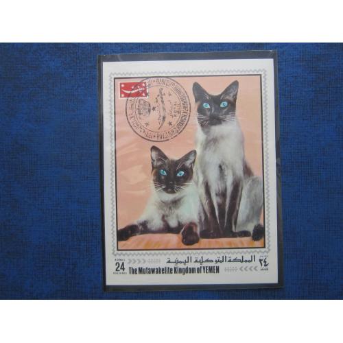 Блок Королевство Йемен 1970 фауна коты кошки домашние гаш