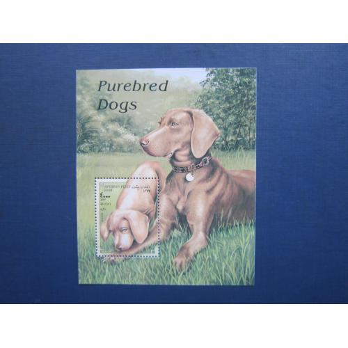 Блок марка Афганістан 1998 фауна собака порода віжла MNH