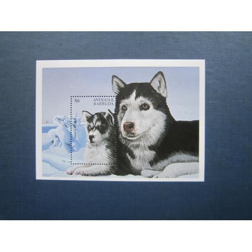 Блок марка Антігуа та Барбуда 1995 фауна собака порода сибірська лайка MNH КЦ 6 $