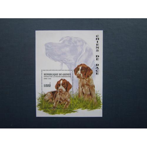 Блок марка Гвінея 1996 фауна собака гончак німецький бракк MNH КЦ 4.6 $