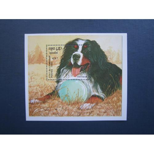 Блок марка Камбоджа 1990 фауна собака порода бернез MNH КЦ 6 $