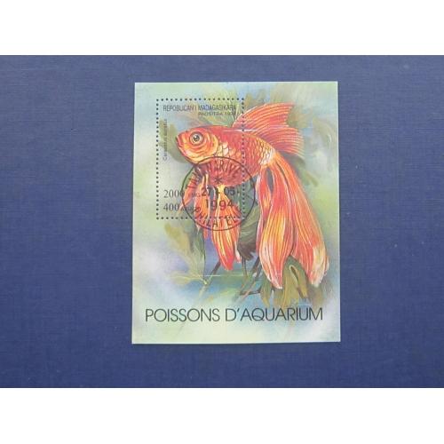 Блок марка Мадагаскар 1994 фауна рыбы аквариумная рыбка гаш