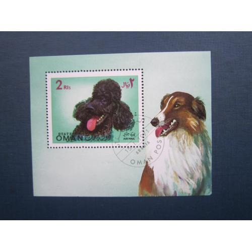 Блок марка Оман 1971 фауна собака порода пудель колі гаш