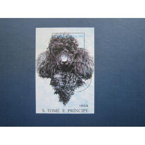Блок марка Сан-Томе і Принсипі 1995 фауна собака порода пудель гаш КЦ 7 $