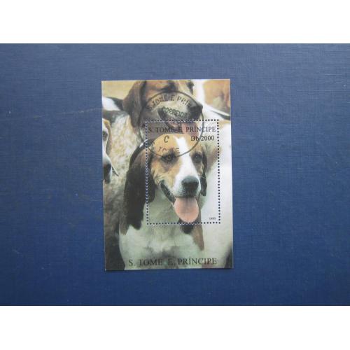 Блок марка Сан Томі та Принсипі 1995 фауна собака гончак гаш КЦ 11.5 $