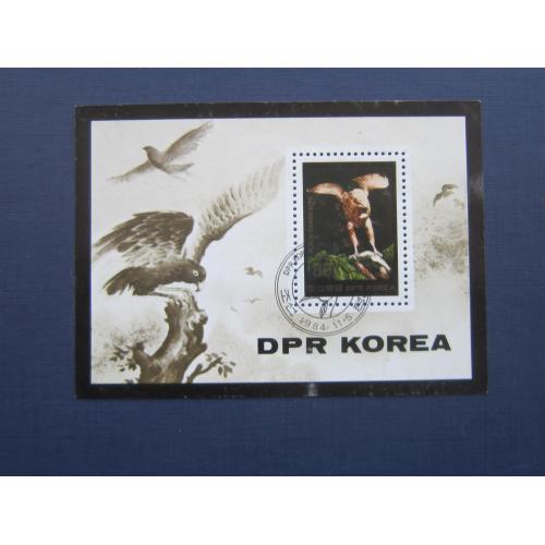 Блок марка Северная Корея КНДР 1984 фауна птица орёл гаш