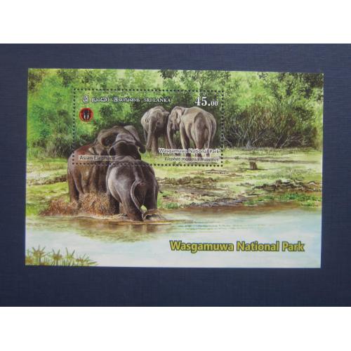 Блок марка Шри-Ланка 2019 фауна слоны MNH