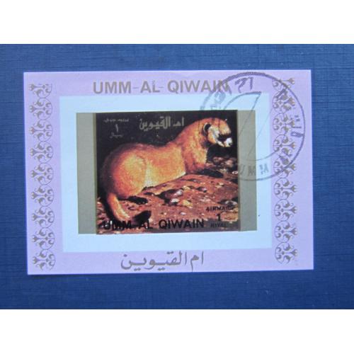Блок марка Ум-эль-Квейн ОАЭ фауна ласка куница гаш