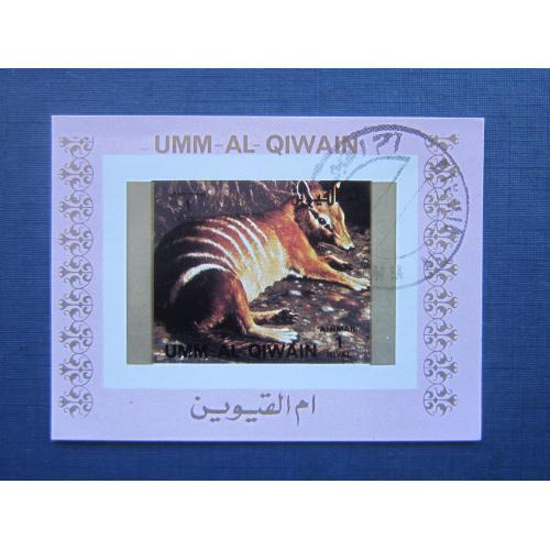 Блок марка Ум-эль-Квейн ОАЭ фауна сумчатые намбат гаш