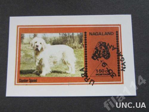 блок Нагалэнд 1973 фауна собака кламбер спаниэль
