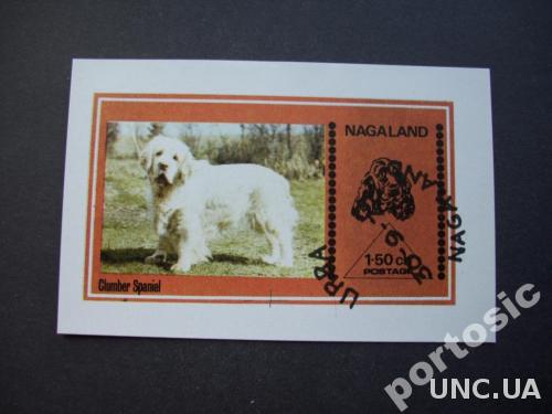 блок Нагалэнд 1977 фауна собака Кламбер спаниэль
