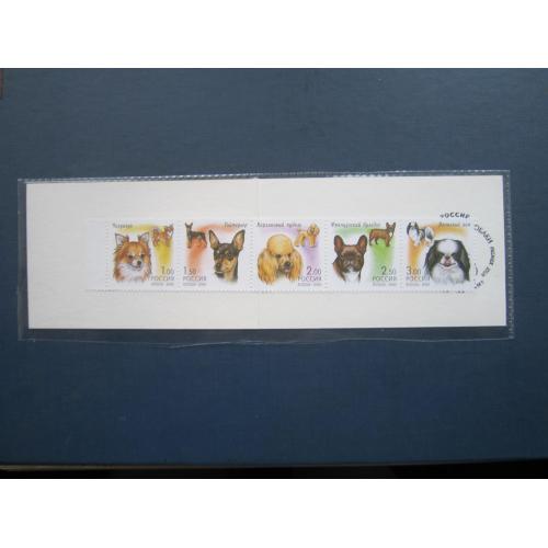 Буклет 5 марок 2000 фауна собака породи декоративні MNH СГ тираж 10000 прим