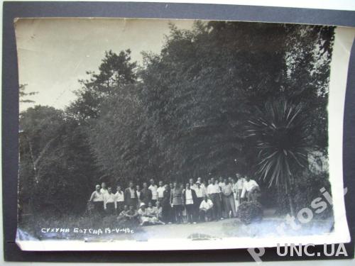 фотография 1940 Сухуми Ботанический сад
