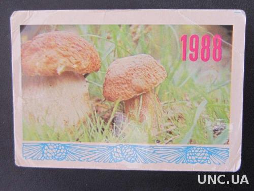 календарик 1990 белый гриб
