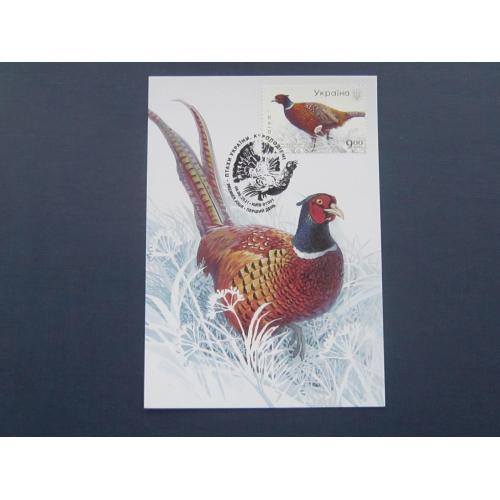 Картмаксимум марка открытка спецгашение Украина 2021 фауна фазан обыкновенный