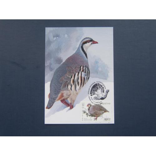 Картмаксимум марка открытка спецгашение Украина 2021 фауна птица кеклик каменная куропатка