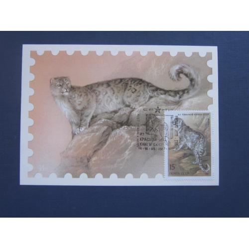 Картмаксимум открытка марка спецгашение СССР 1987 фауна барс снежный леопард ирбис