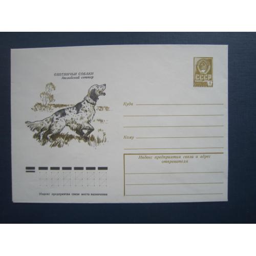 Конверт маркований СРСР 1978 фауна собака порода англійський сетер чистий