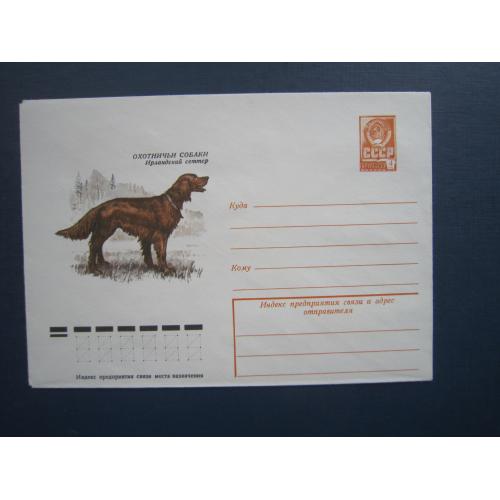 Конверт маркований СРСР 1978 фауна собака порода ірландський сетер чистий