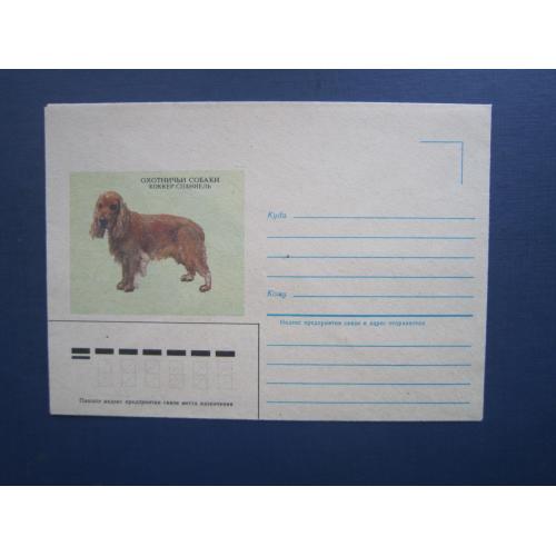 Конверт СРСР 1985 фауна собака порода кокер-спаниель чистий