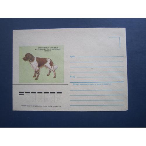 Конверт СРСР 1985 фауна собака порода Мюнстерлендерська легава чистий