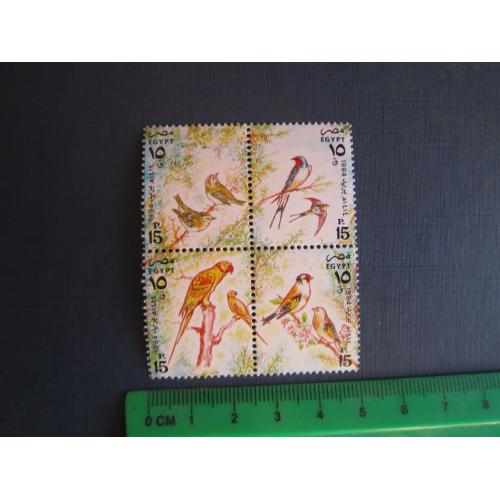 Квартблок 4 марки Єгипет 1994 фауна птахи папуга MNH