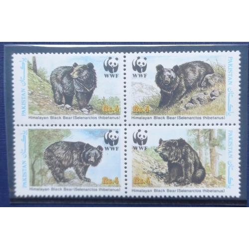 Квартблок 4 марки сцепка Пакистан 1989 фауна медведь WWF MNH