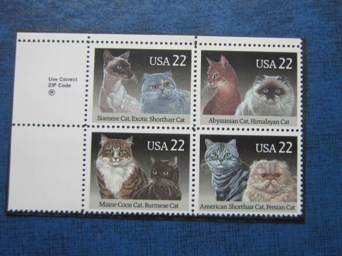 квартблок с полями (4 марки) США 1988 фауна коты кошки MNH