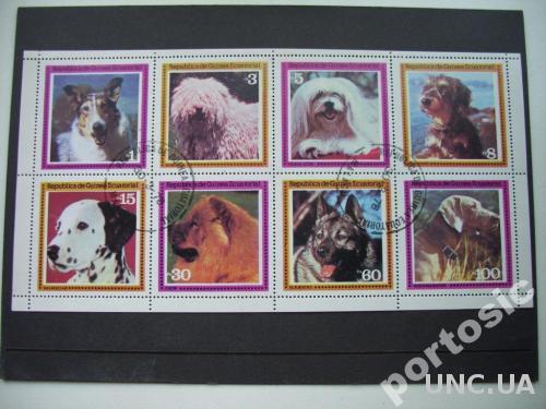 м/лист 8 марок Экватор. Гвинея 1977 фауна собаки