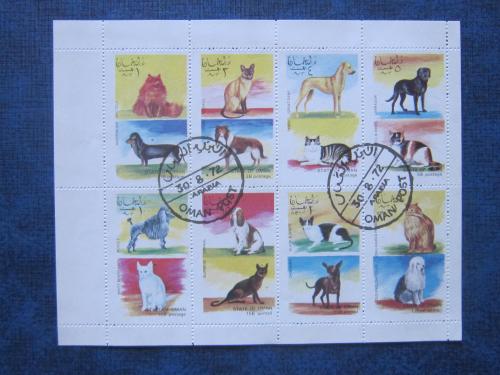 м/лист 8 марок Оман 1972 кошки собаки гаш