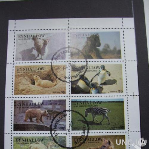 м/лист 8 марок Шотландия 1977 фауна