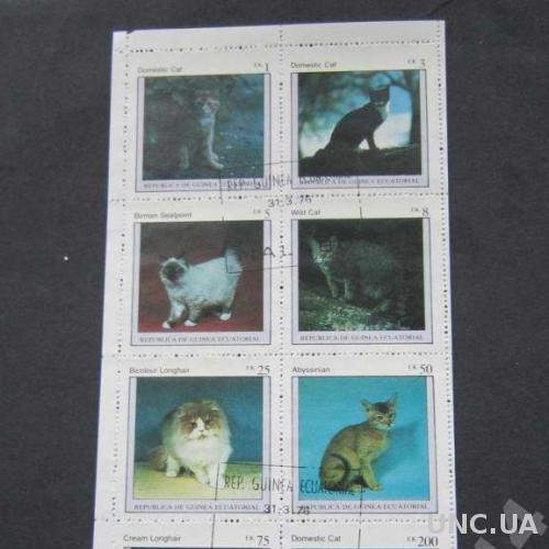 м/лист Гвинея Эваториальная 1976 кошки

