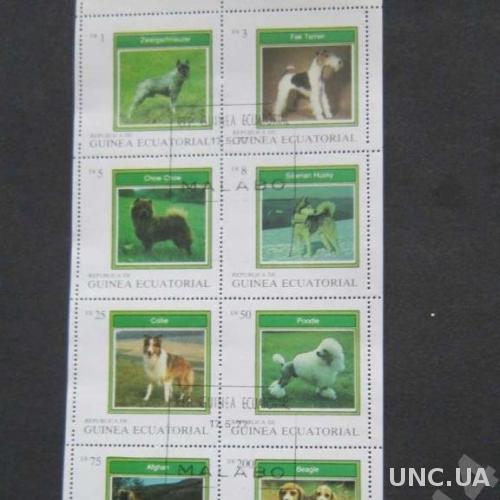 м/лист Гвинея Эваториальная 1977 собаки