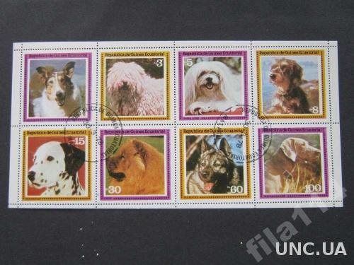 м/лист Гвинея Эваториальная 1978 собаки
