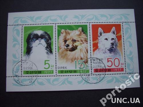 м/лист Корея 1977 собаки
