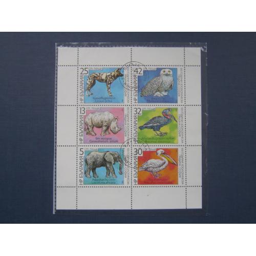 Малый лист 6 марок Болгария 1988 фауна пеликан слон сова носорог гиеновидная собака гаш