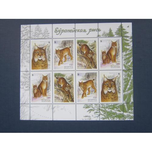 Малый лист 8 марок Беларусь 2000 фауна рысь WWF MNH