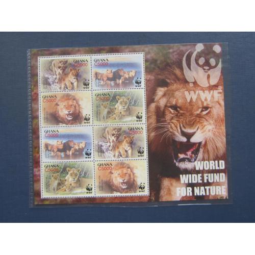 Малый лист блок 8 марок Гана 2004 фауна лев львы WWF MNH