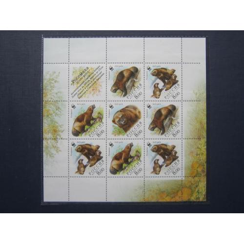 Малый лист блок 8 марок Россия 2004 фауна росомаха WWF MNH
