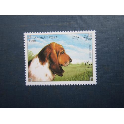 Марка Афганістан 1998 фауна собака бассет-хаунд MNH