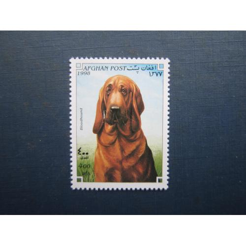 Марка Афганістан 1998 фауна собака бладхаунд MNH