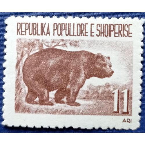 Марка Албания 1961 фауна медведь MNH