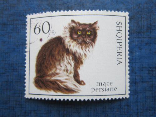 Марка Албания 1966 60 киндарик фауна кошка кот гаш