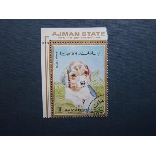 Марка Айджман ОАЕ 1972 фауна собака бігль із полями гаш