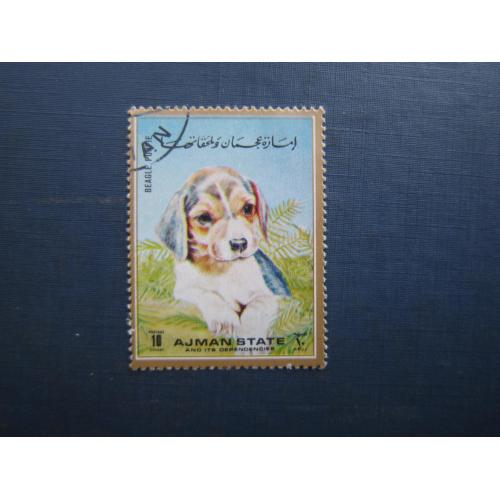 Марка Айджман ОАЕ 1972 фауна собака бігль гаш