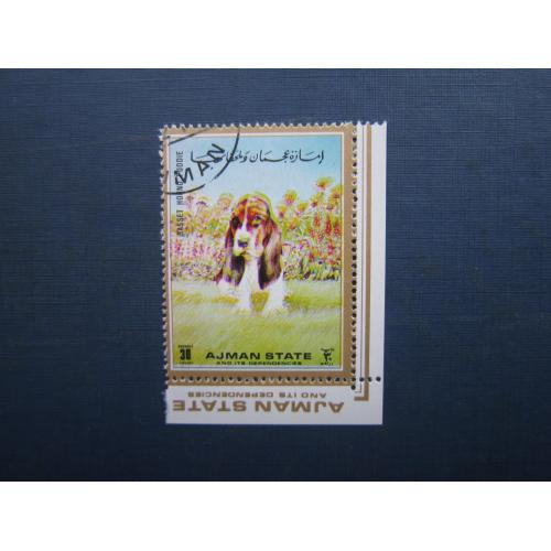 Марка Айджман ОАЕ 1973 фауна собака бассет-хаунд гаш