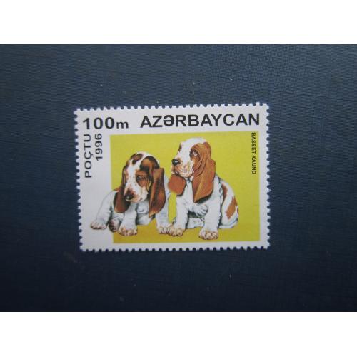 Марка Азербайджан 1996 фауна собака бассет-хаунд MNH