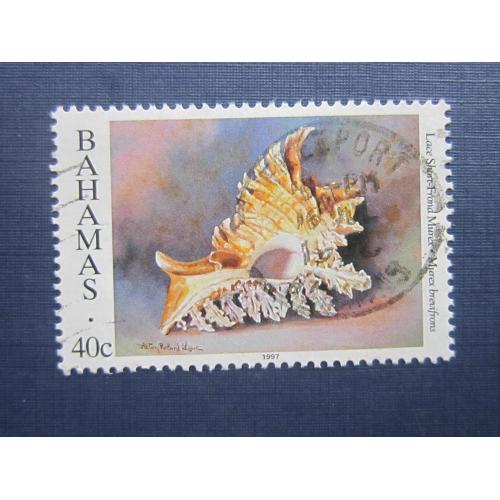 Марка Багамы 1996 фауна моллюск раковина 40 центов гаш