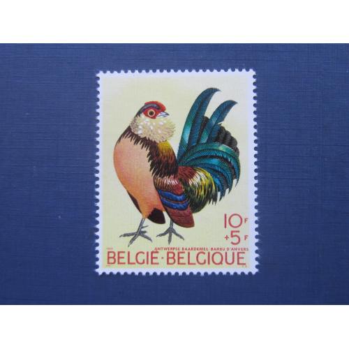 Марка Бельгия 1969 фауна птица MNH